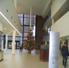 Verkoop en verhuur van versierde kerstbomen